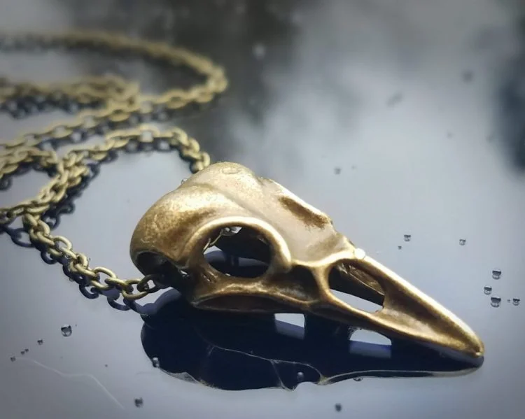 Aegishjalmur Raven Skull Necklace – BaviPower