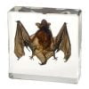 Small-Bat-Resin-Bat-Acrylic