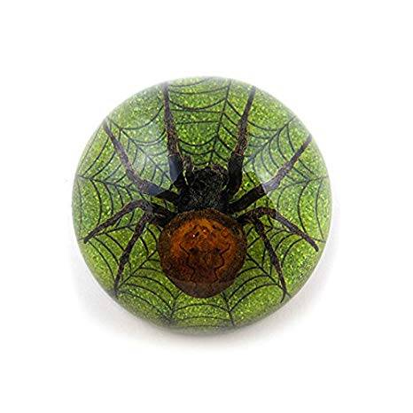 Insects in Resin, Real Spider with Web Dome, Paperweight