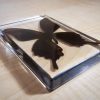 Large-Black-Preserved Butterfly in Resin, Insects in Lucite