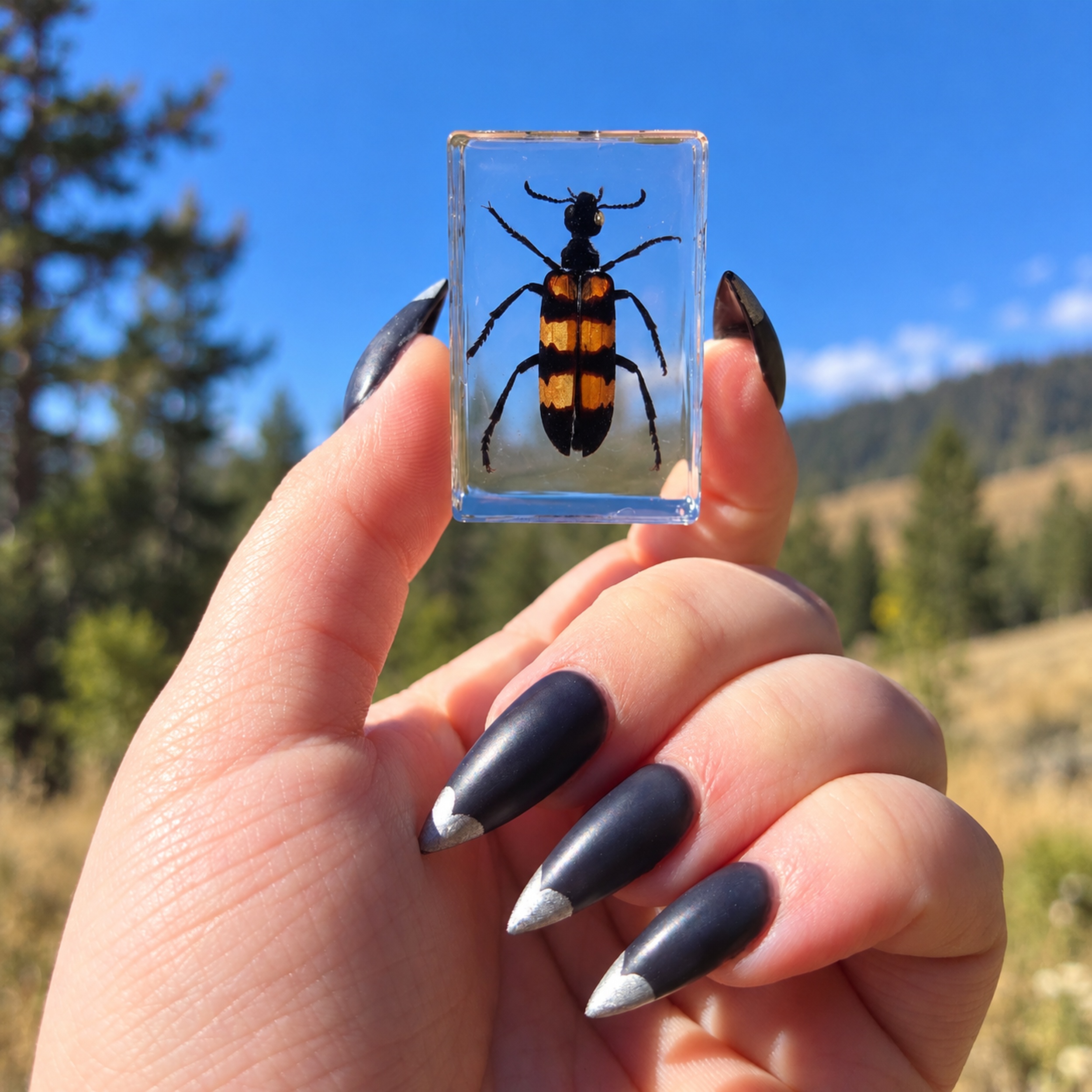 Slide 5 for Blister Beetle In Resin, Small Insect In Resin