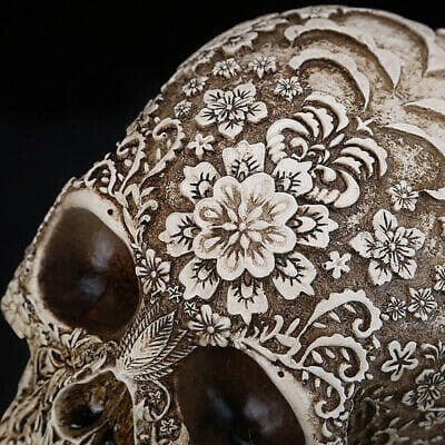 Floral Skull, Oddities, Curiosities, Carved Human Skull