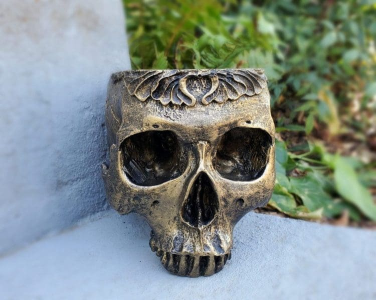 Skull Planter, Skull Flower Pot. Gothic Garden