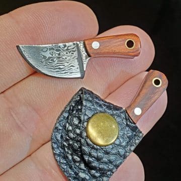 Mini Butcher Knife, Tiny Knife
