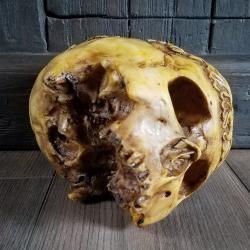 Tibetan Skull Carved Human Skull Replica Realistic Human Skull