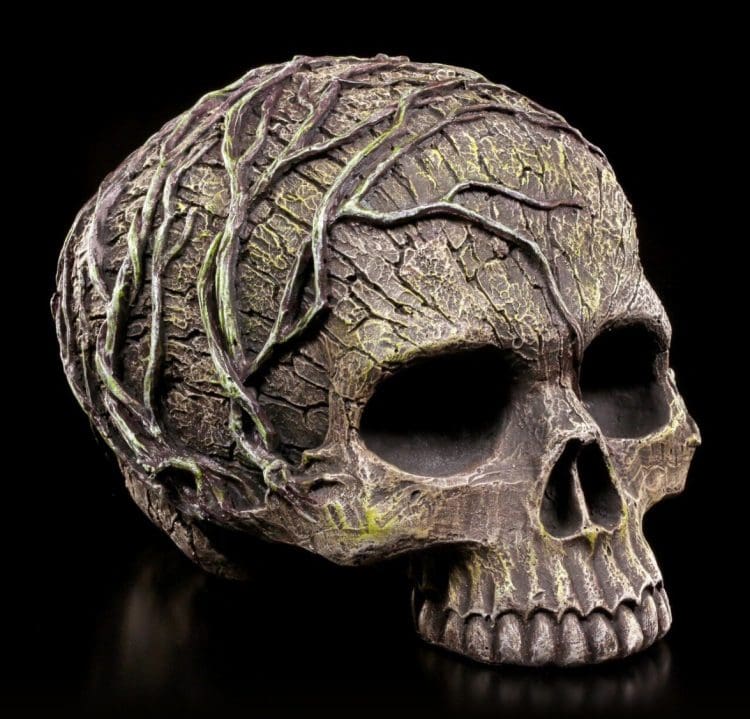 Tree Spirit Skull, Human Skull Replica, Occult Skull, Oddities