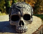 Tree Spirit Skull, Human Skull Replica, Occult Skull