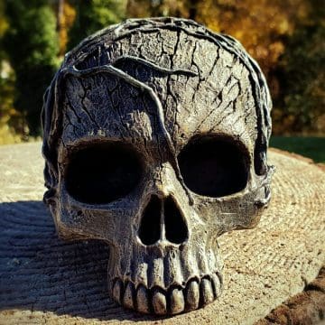 Tree Spirit Skull, Human Skull Replica, Occult Skull