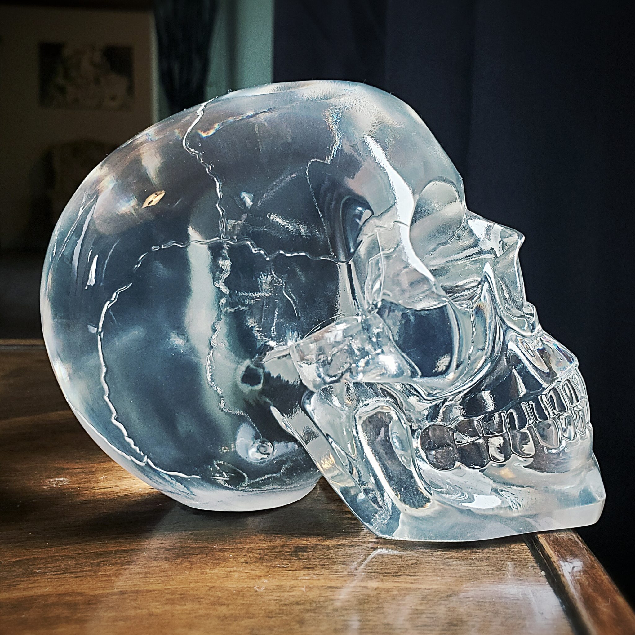 Translucent Skull, Resin Crystal Skull, Human Skull - Oddity Store