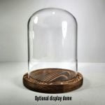 Glass Display Dome, Glass Dome For Taxidermy Duck, Oddities and Curiosities, Curio, Curios Cabinet, Cloche