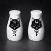 Gothic Home Decor, Gothic Cat Salt and Pepper Shakers, Witch Stuff, Occult Items