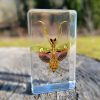 Jeweled Flower Mantis Specimen In Resin