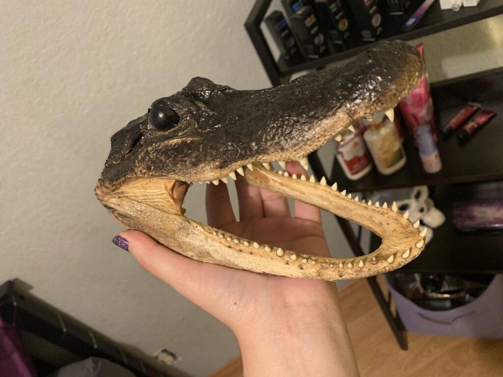 Image #1 from Paden Glover