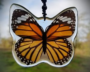Real Butterfly Necklace, Real Butterfly in Resin