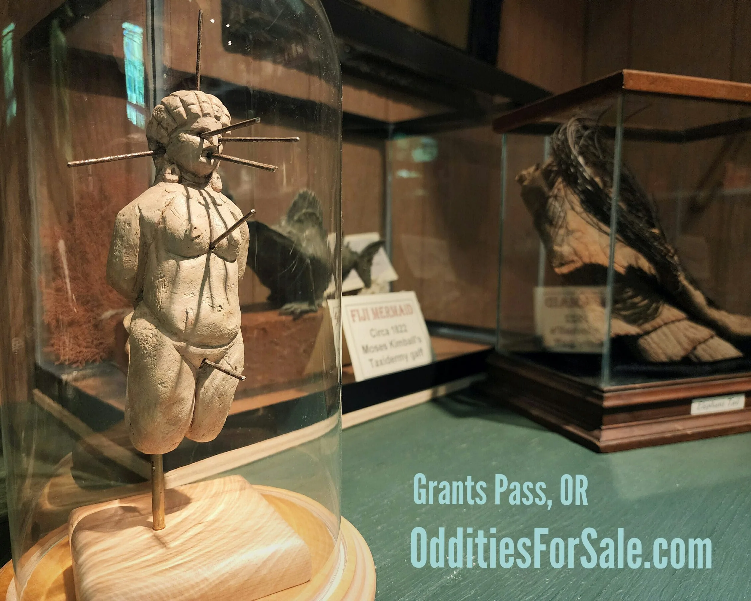 Slide 11 for O4S Shop & Mini Museum Admission