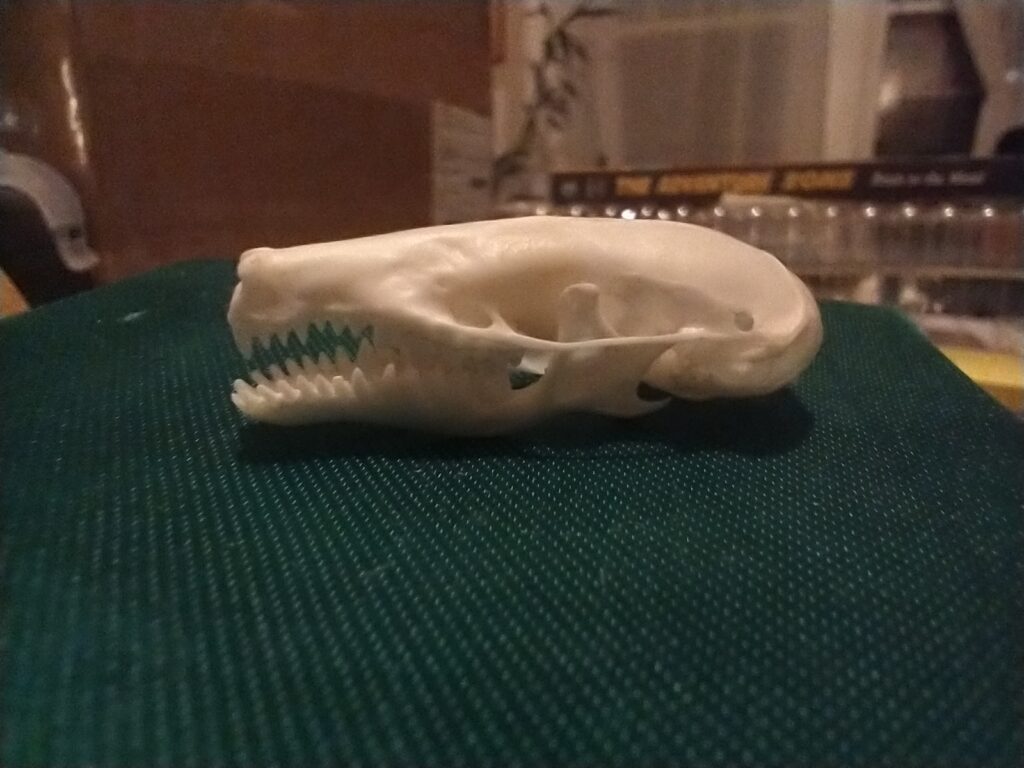 Image #1 from Jessica