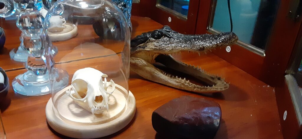 Image #2 from Jesse Wilson