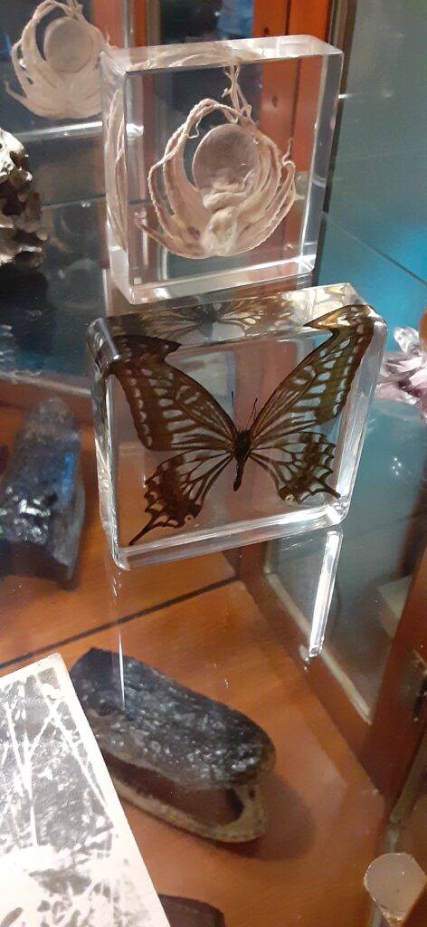 Image #1 from Jesse Wilson