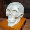 Astrology Skull Lamp, Gothic Décor, Carved Skull Lamp