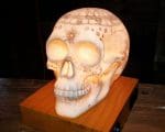 Astrology Skull Lamp, Gothic Décor, Carved Skull Lamp