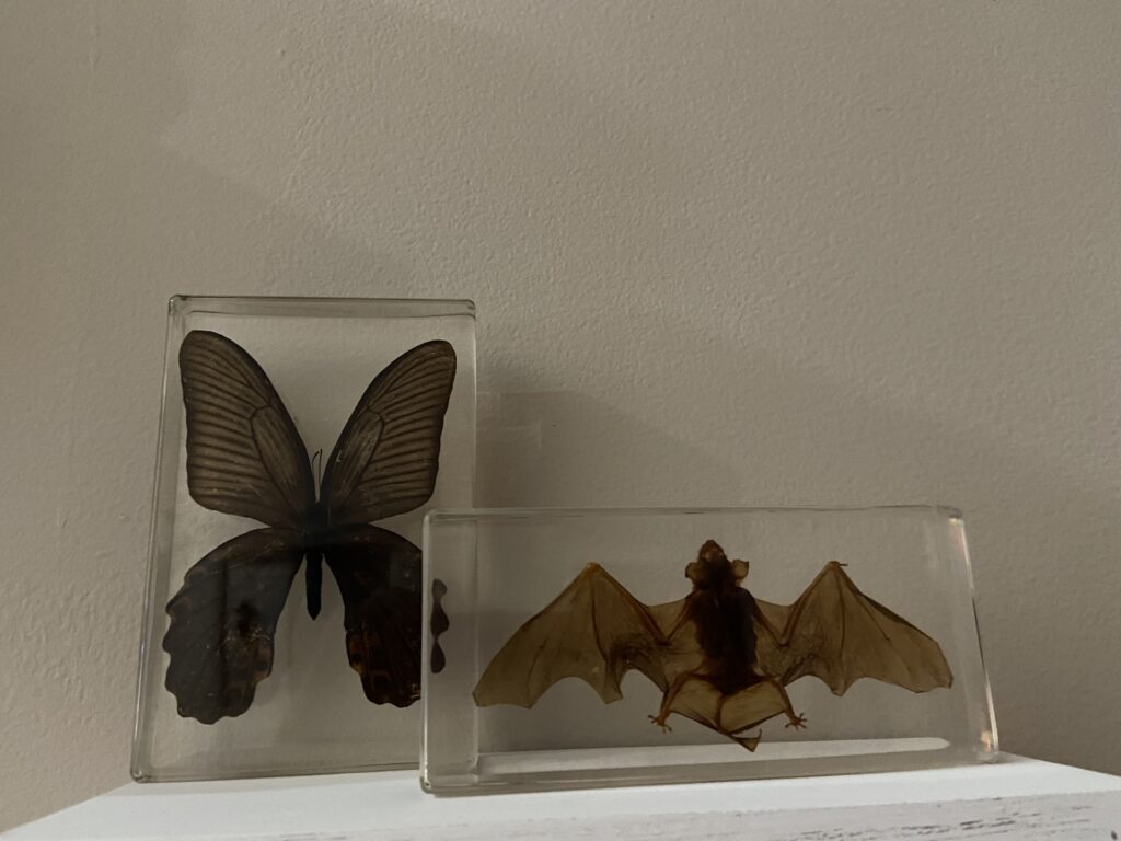 Image #1 from Kara Weidner