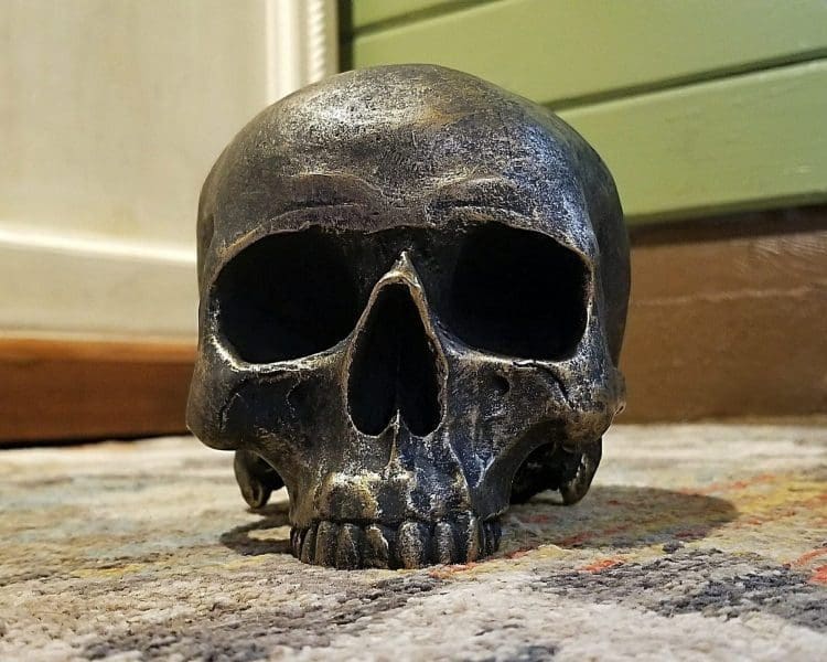 Antique Gold Skull, Gold Human Skull, Gothic Décor