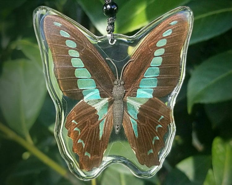 Real Butterfly Necklace, Insects In Resin, Blue Bottle Butterfly Window Hang