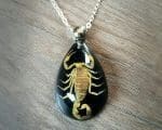 Real Scorpion Necklace, Real Insect Jewelry, Insects In Resin