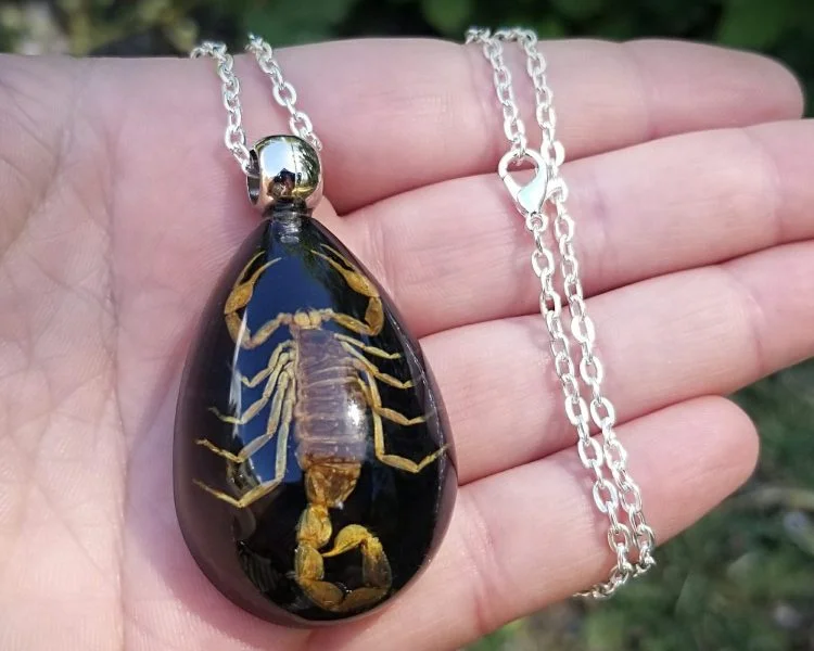 Necklace (DC07) -Real Scorpion Necklace - China Necklace and Fashion  Necklace price | Made-in-China.com