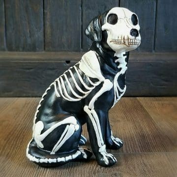 Gothic Decor, Dog Skeleton, Dog Skeleton Figurine