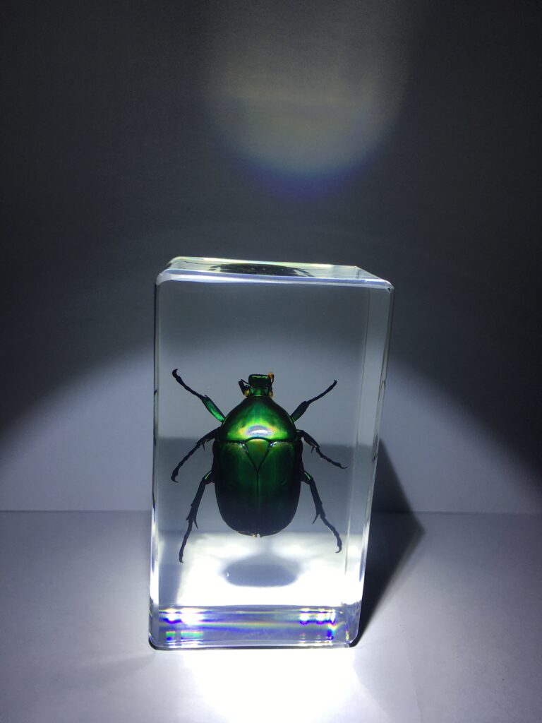 Image #1 from Drew R