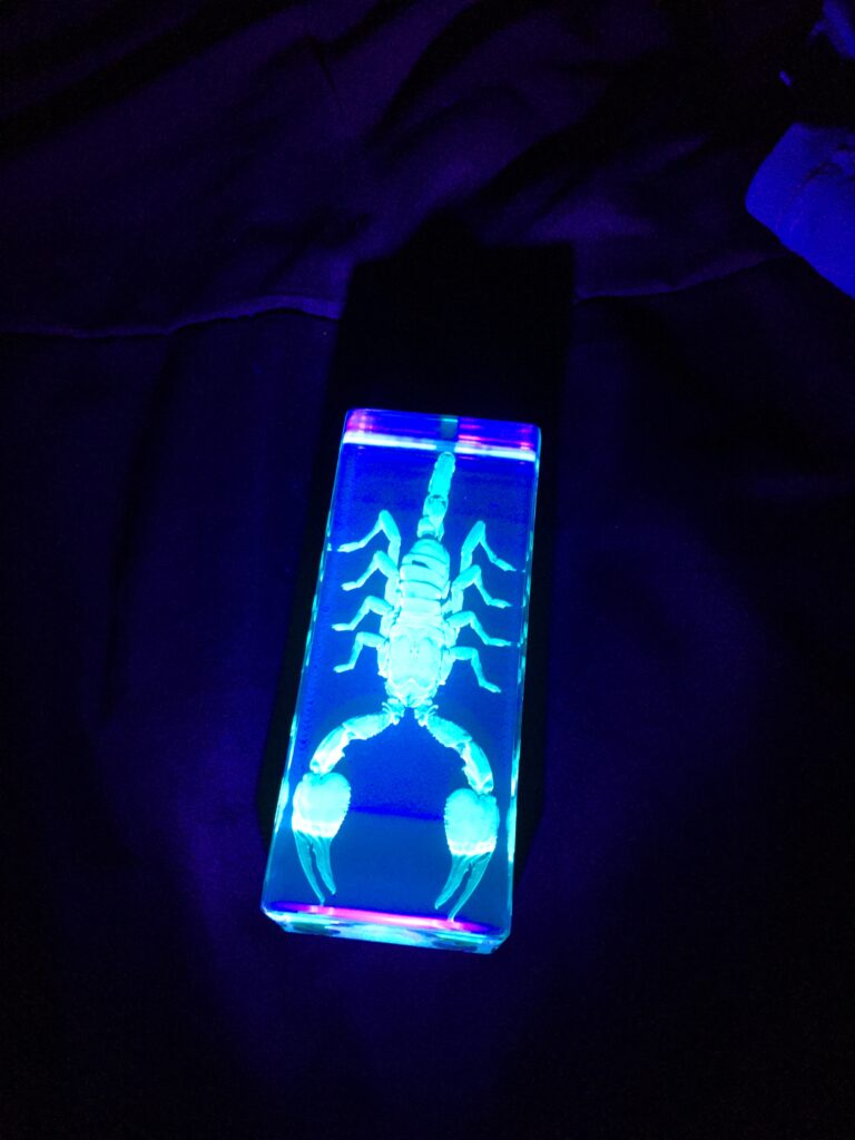 Image #2 from Drew R