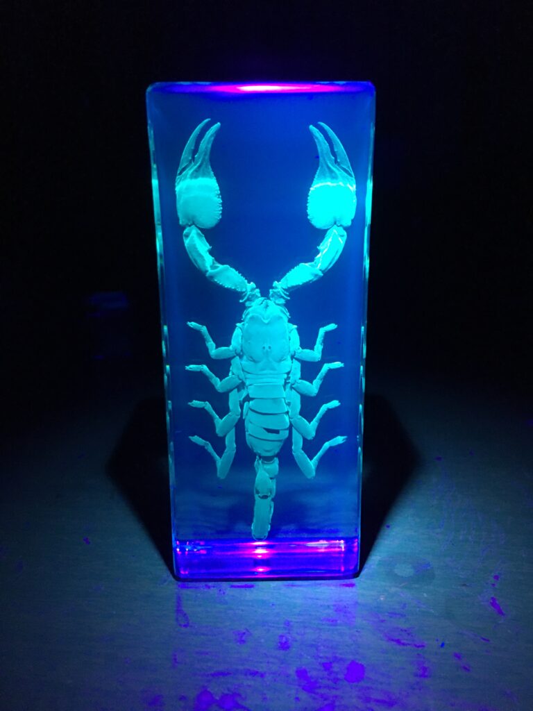 Image #1 from Drew R