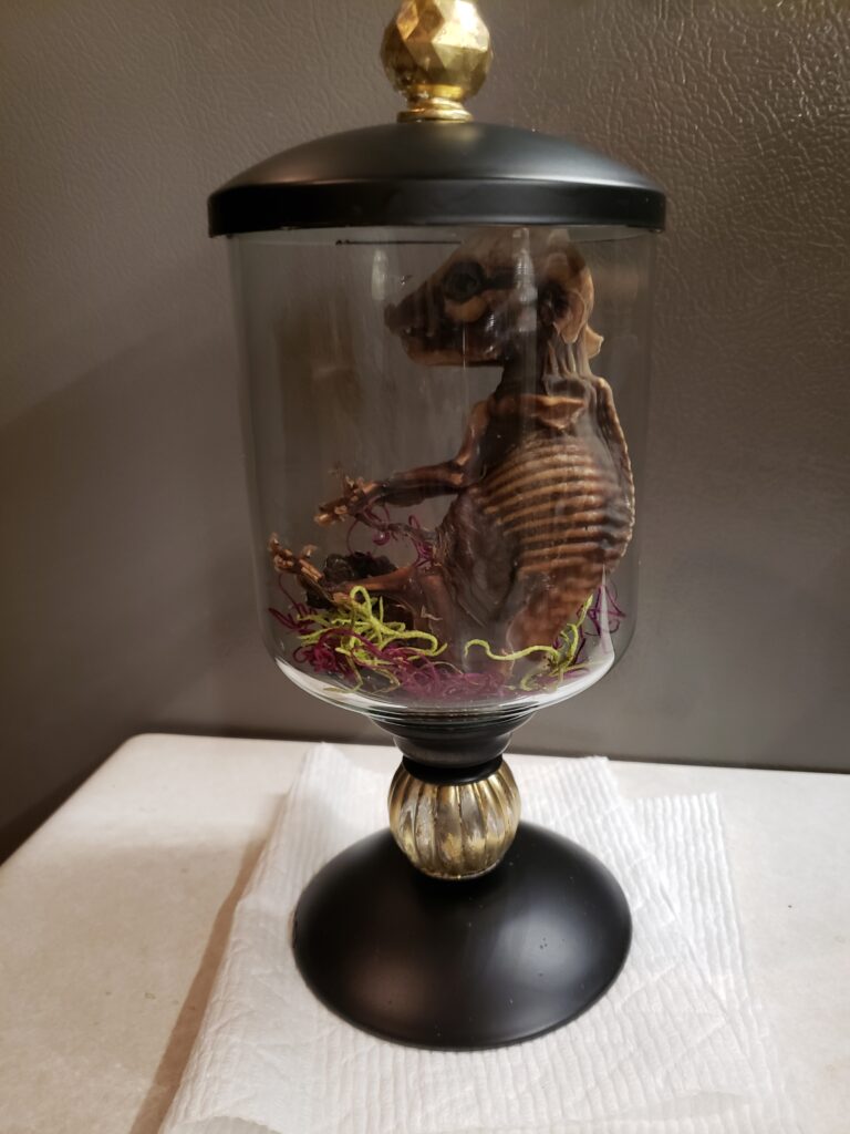 Image #1 from VERONICA CAHALAN