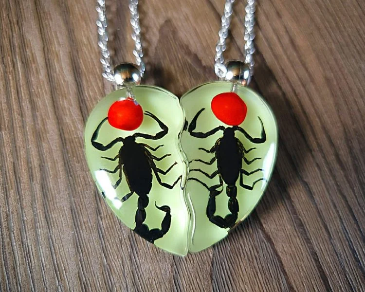Black Scorpion Heart Necklace Set, Real Scorpions in Resin, Oddities,  Curiosities - Oddities For Sale has unique
