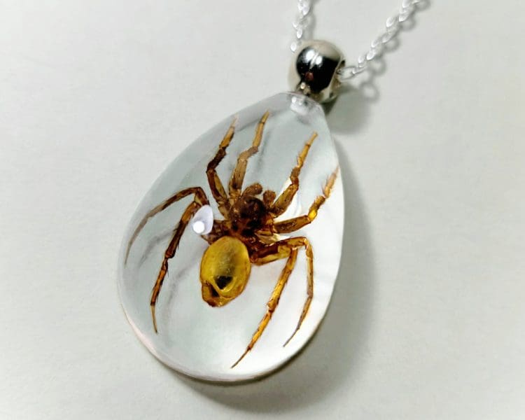 Real Spider Necklace, Real Insect Jewelry, Gothic Jewelry
