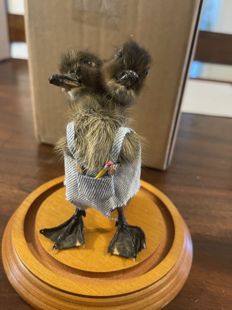 Image #1 from Mike Jacobsen