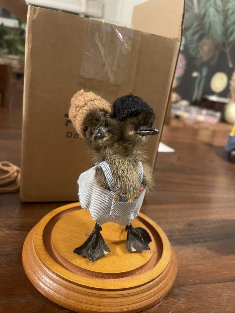 Image #2 from Mike Jacobsen