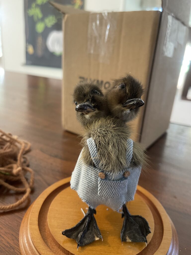 Image #5 from Mike Jacobsen