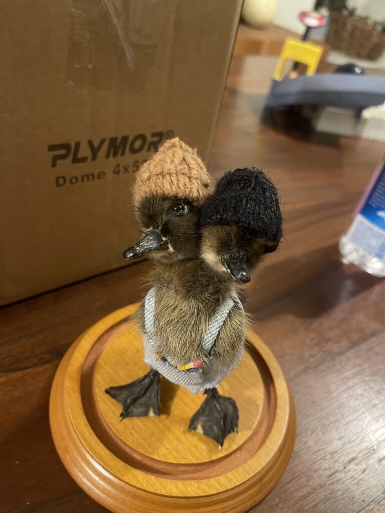 Image #3 from Mike Jacobsen