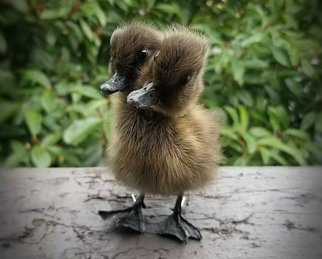 Image #1 from Holly Stover