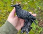 Raven With Crown Statue, Gothic Decor, Crow Figurine