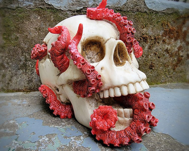 Red Tentacle Human Skull, Pirate Decor, Pirate Skull