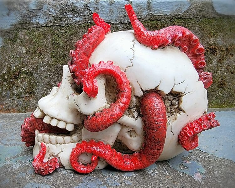 Creepy Octopus Skull, Human Skull, Gothic Decor
