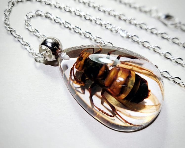 Real Insect Jewelry, Murder Hornet Necklace, Murder Hornet in Resin
