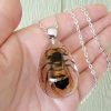 Real Insect Jewelry, Murder Hornet Necklace, Murder Hornet in Resin