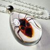 Real Insect Jewelry, Real Bug Necklace