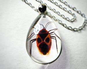 Real Insect Jewelry, Real Bug Necklace