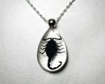 Real Scorpion Necklace, Real Bug Jewelry