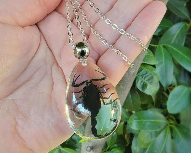 Amazon.com: PTGMH Resin Black Scorpion Necklace for Women Men Real Scorpion  Sample Inserted Inside Resin Oval Transparent Pendant Holiday or Birthday  Gifts for Friends (clear beetle) : Clothing, Shoes & Jewelry